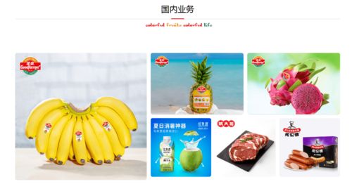 攜手并進，共創未來 佳農集團與巧廚供應鏈合作項目正式啟動